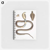 1-25_Indian-Zoology_memo