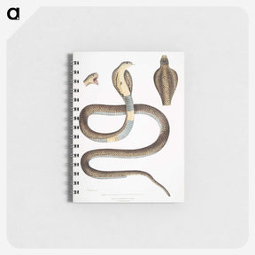 1-25_Indian-Zoology_memo