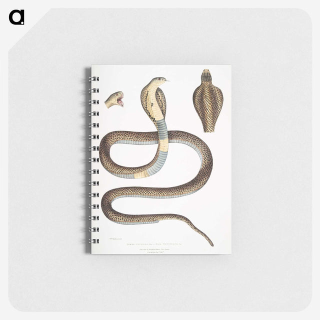 1-25_Indian-Zoology_memo