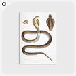 1-25_Indian-Zoology_postcard