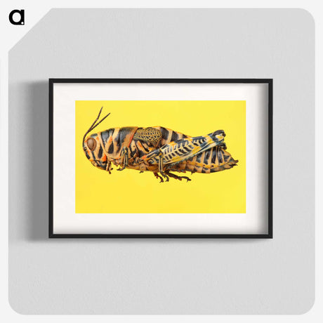 1-25_Insects-Unlocked-Project_blk