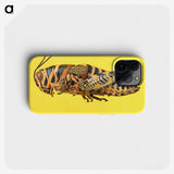 1-25_Insects-Unlocked-Project_phone