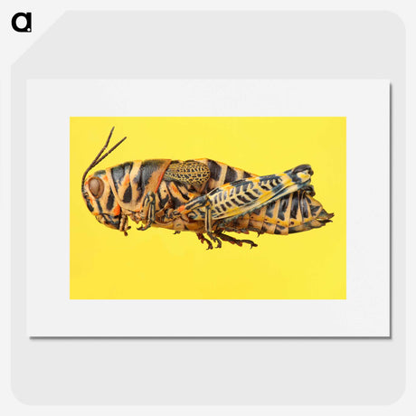 1-25_Insects-Unlocked-Project_picture
