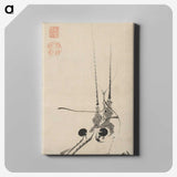 1-25_Ito-Jakuchu_canvas