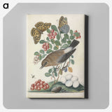1-25_James-Bolton_canvas