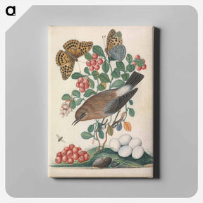 アートパネル-Northern Wheatear and Fritillary
 - ジェームズ ボルトン Canvas.
