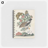 1-25_James-Bolton_memo