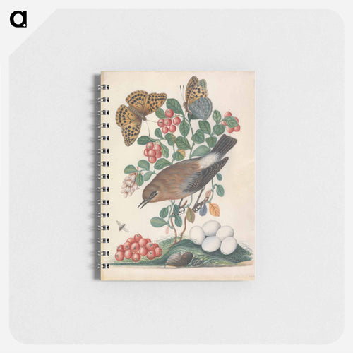 Northern Wheatear and Fritillary
 - ジェームズ ボルトン Memo.