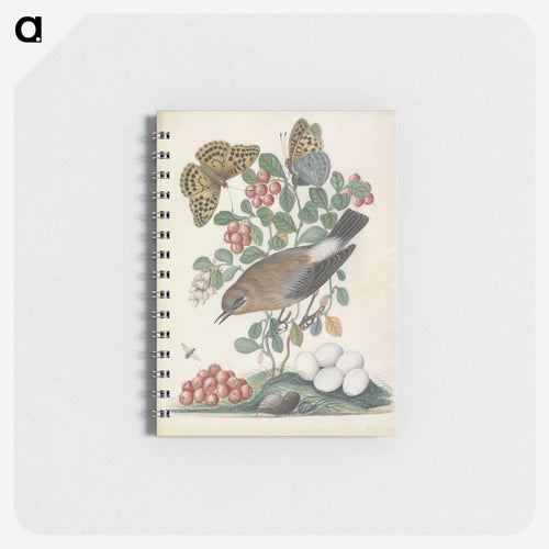 Northern Wheatear and Fritillary
 - ジェームズ ボルトン Memo.