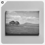 1-25_James-Walter-Chapman-Taylor_canvas