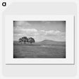 1-25_James-Walter-Chapman-Taylor_picture