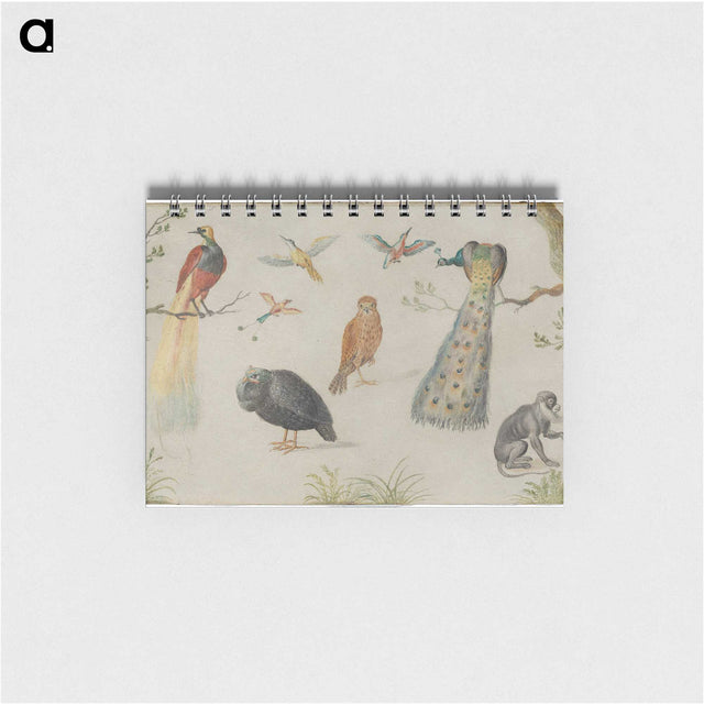 1-25_Jan-Van-Kessel_memo