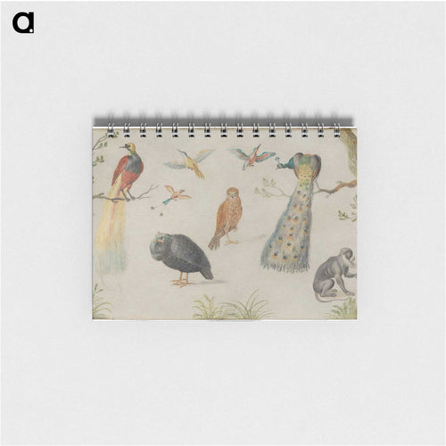 Study of Birds and Monkey
 - ヤン ファン ケッセル Memo.
