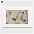 1-25_Jan-Van-Kessel_picture
