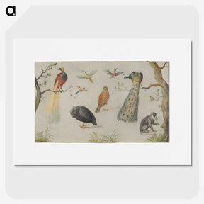 1-25_Jan-Van-Kessel_picture
