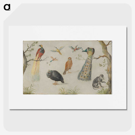 1-25_Jan-Van-Kessel_picture