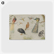 1-25_Jan-Van-Kessel_postcard