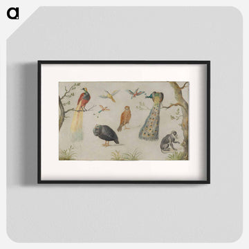 Study of Birds and Monkey
 - ヤン ファン ケッセル Poster.