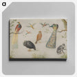 アートパネル-Study of Birds and Monkey
 - ヤン ファン ケッセル Canvas.