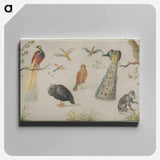 アートパネル-Study of Birds and Monkey
 - ヤン ファン ケッセル Canvas.