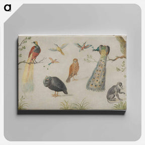 アートパネル-Study of Birds and Monkey
 - ヤン ファン ケッセル Canvas.