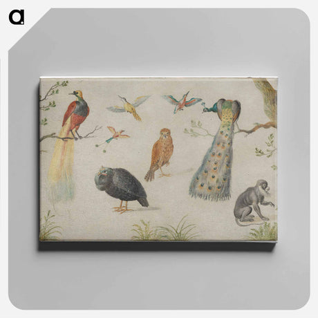 アートパネル-Study of Birds and Monkey
 - ヤン ファン ケッセル Canvas.
