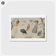 アートポストカード-Study of Birds and Monkey
 - ヤン ファン ケッセル Postcard.