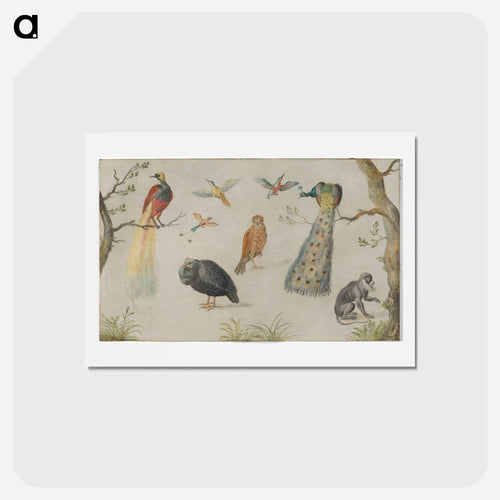 Study of Birds and Monkey
 - ヤン ファン ケッセル Postcard.