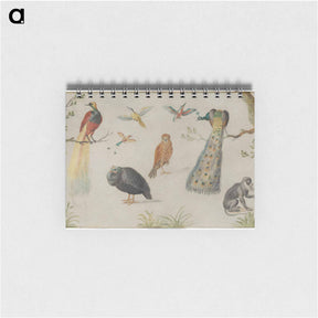 アートメモ帳-Study of Birds and Monkey
 - ヤン ファン ケッセル Memo.