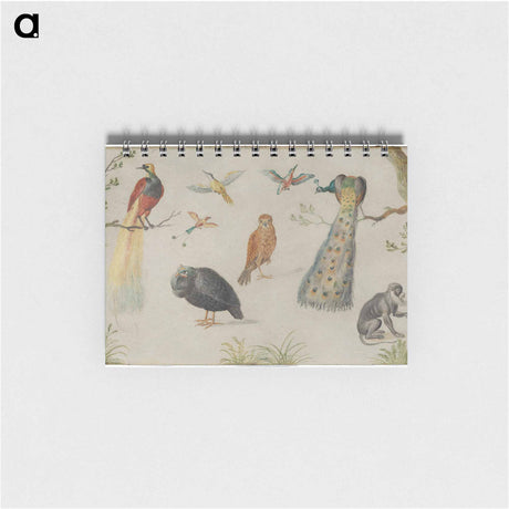 アートメモ帳-Study of Birds and Monkey
 - ヤン ファン ケッセル Memo.