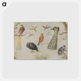 アートポストカード-Study of Birds and Monkey
 - ヤン ファン ケッセル Postcard.