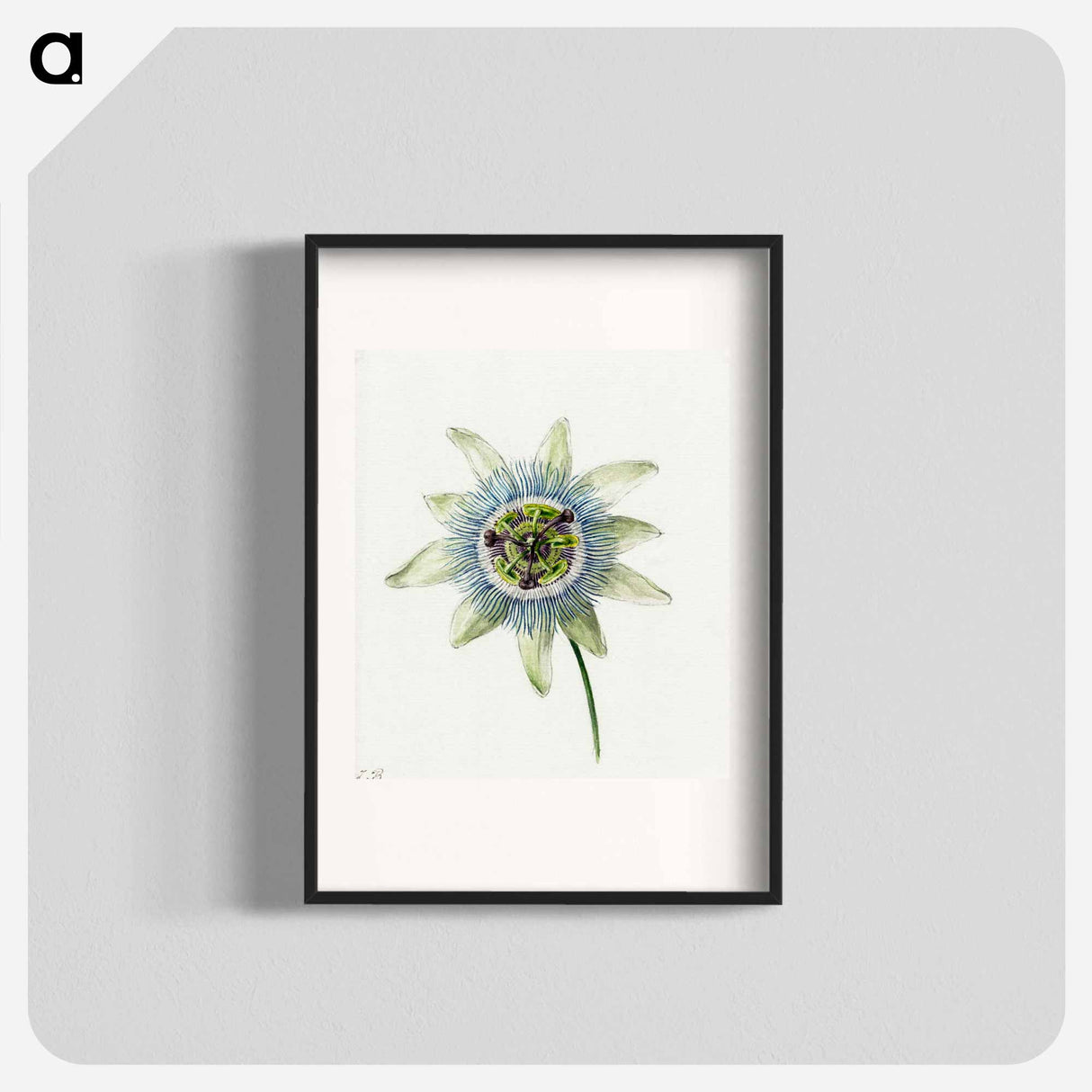 Passion Flower - ジャン ベルナール Poster.