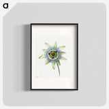 Passion Flower - ジャン ベルナール Poster.
