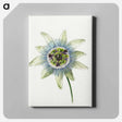 アートパネル-Passion Flower - ジャン ベルナール Canvas.