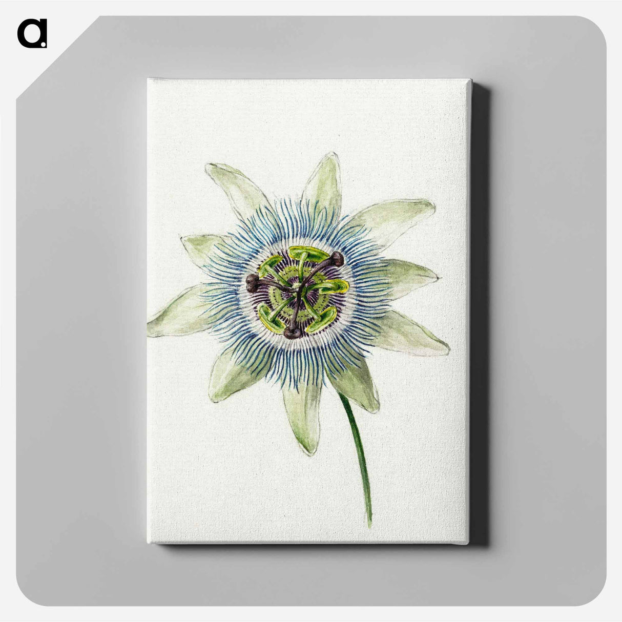アートパネル-Passion Flower - ジャン ベルナール Canvas.