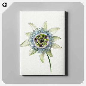 アートパネル-Passion Flower - ジャン ベルナール Canvas.