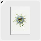 アートポストカード-Passion Flower - ジャン ベルナール Postcard.