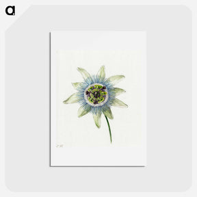 アートポストカード-Passion Flower - ジャン ベルナール Postcard.