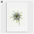 1-25_Jean-Bernard_picture