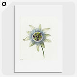 1-25_Jean-Bernard_picture