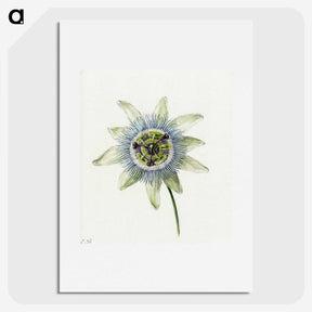 1-25_Jean-Bernard_picture
