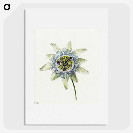 1-25_Jean-Bernard_picture