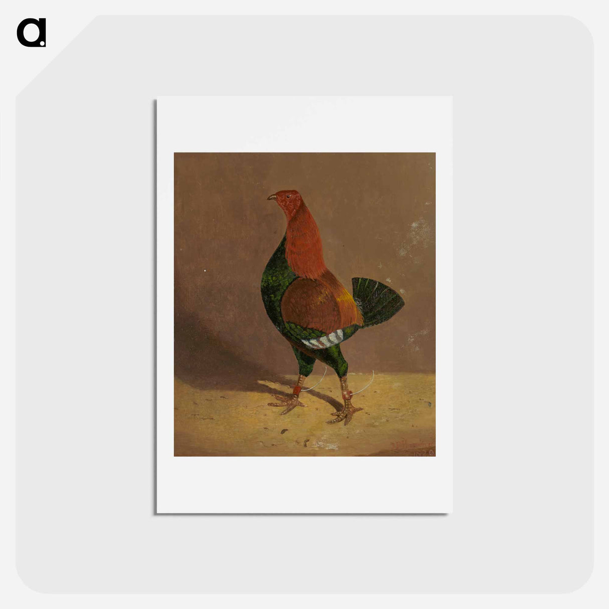 Fighting Cocks
 - ジョン フレデリック ヘリング Postcard.