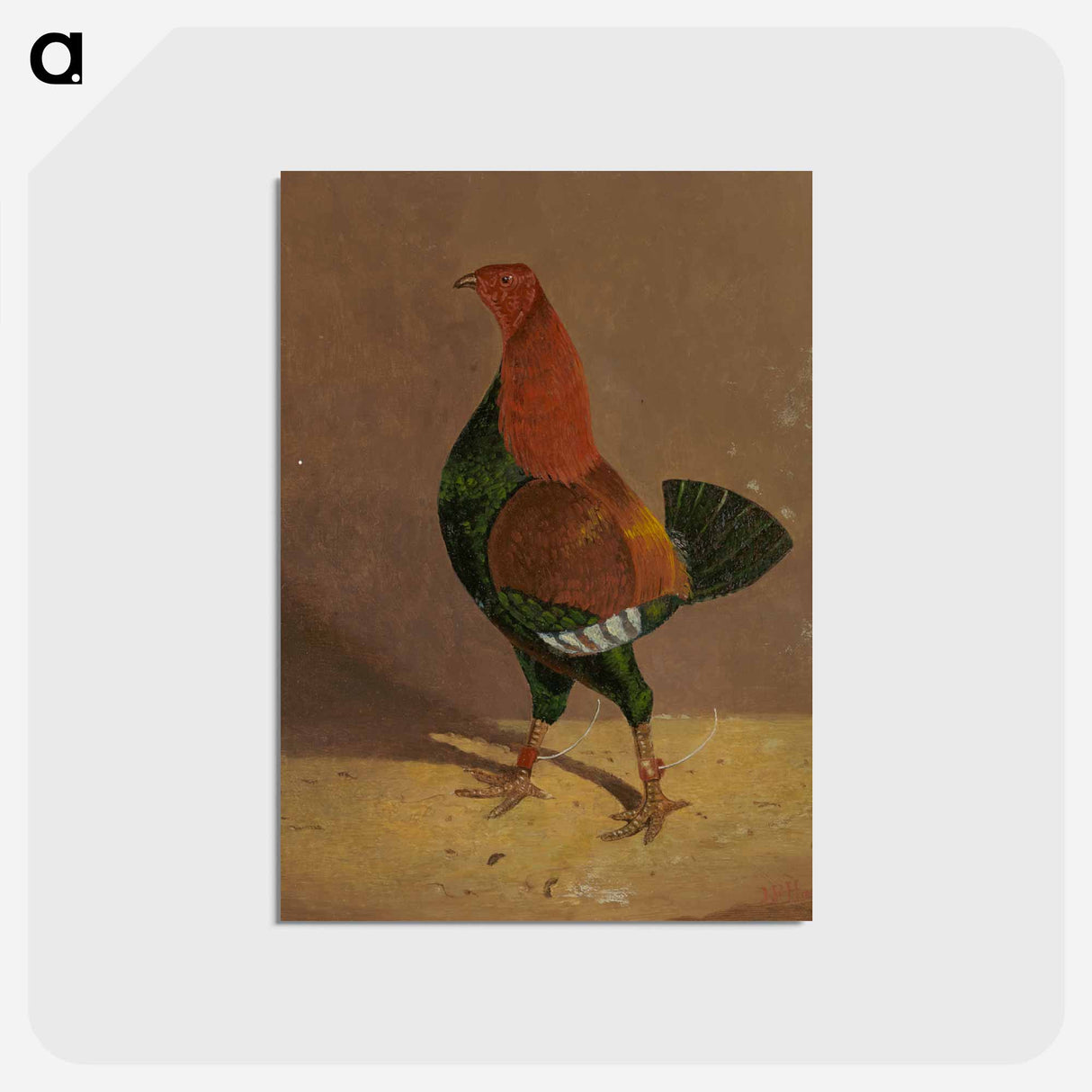 Fighting Cocks
 - ジョン フレデリック ヘリング Postcard.