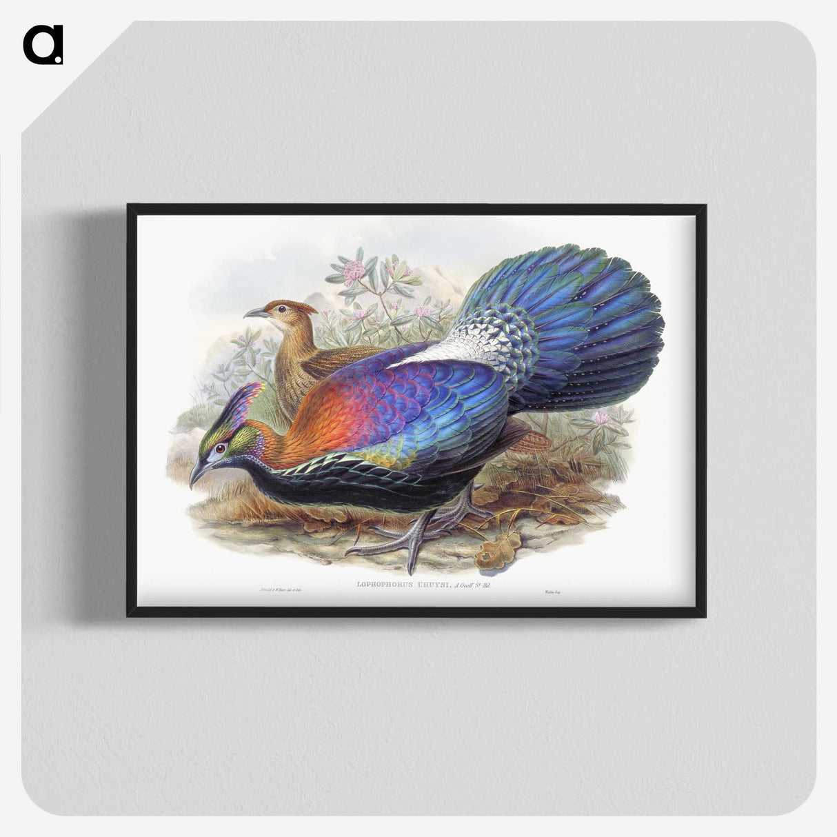 1-25_John-Gould_blk-crop