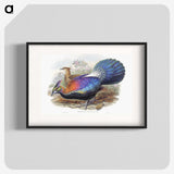 1-25_John-Gould_blk
