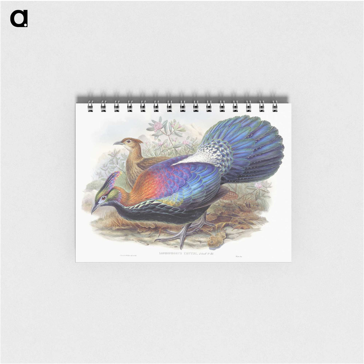 1-25_John-Gould_memo