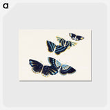 アートポストカード-Vintage butterfly - 神坂 雪佳 Postcard.
