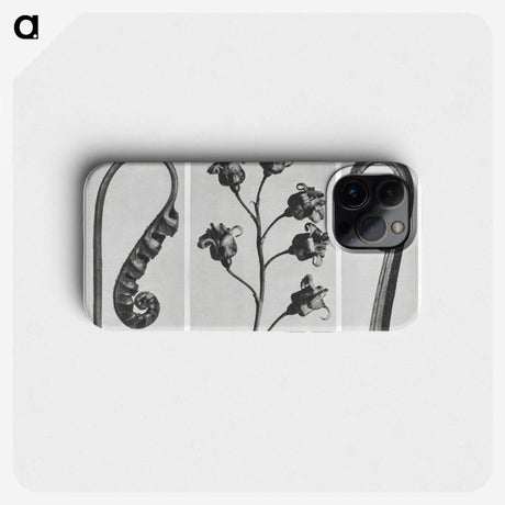1-25_Karl-Blossfeldt_phone