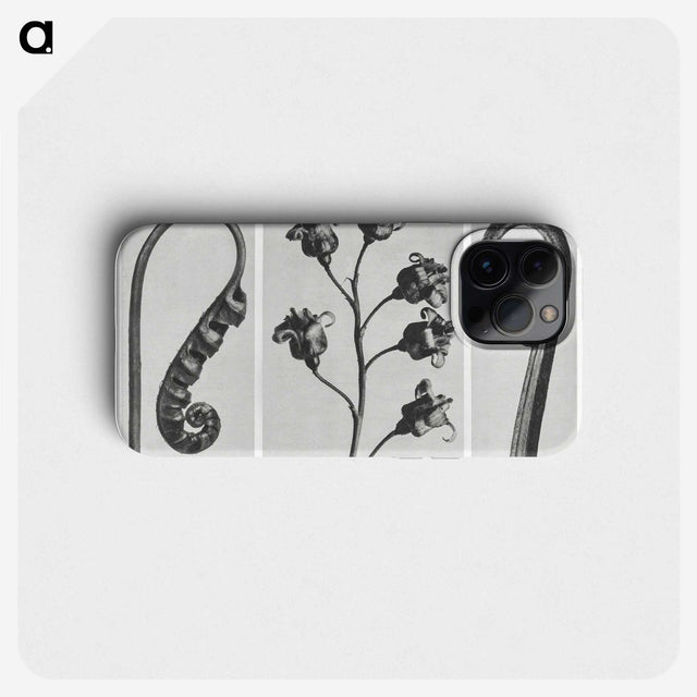 1-25_Karl-Blossfeldt_phone